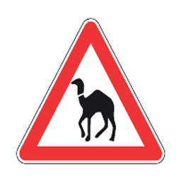 Camel crossing — Saudi road sign