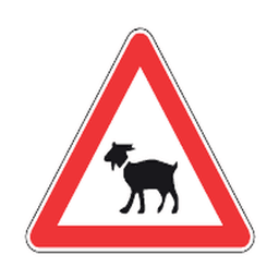 Cattle crossing — Saudi road sign